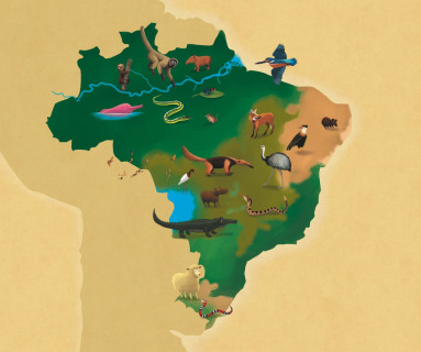 Biodiversidade - Mapa - Fauna